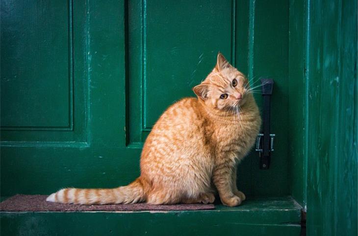 most secure front door lock