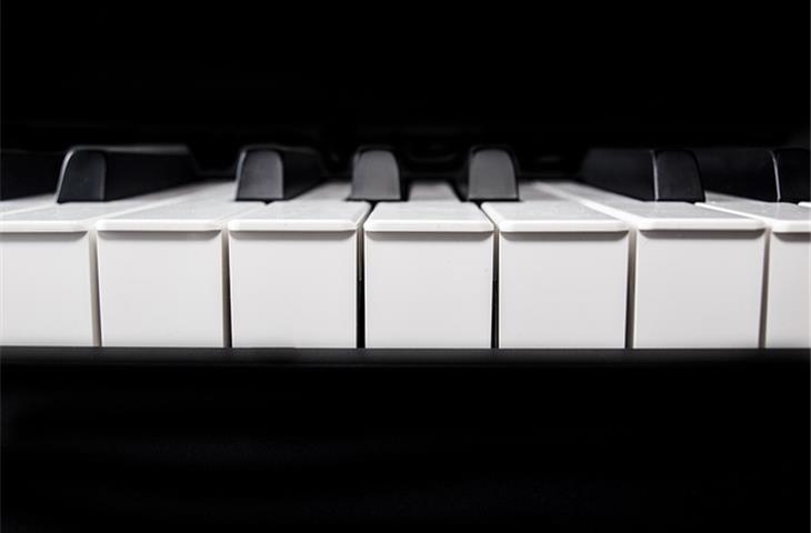 soft close piano hinge